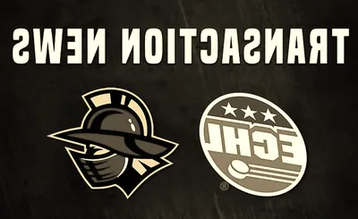 Atlanta Gladiators