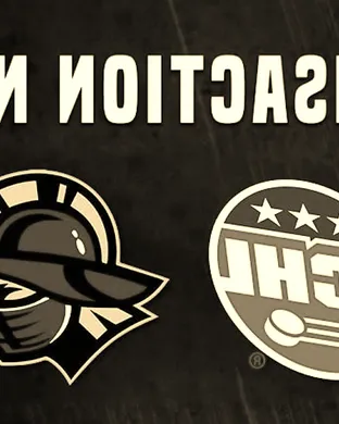 Atlanta Gladiators